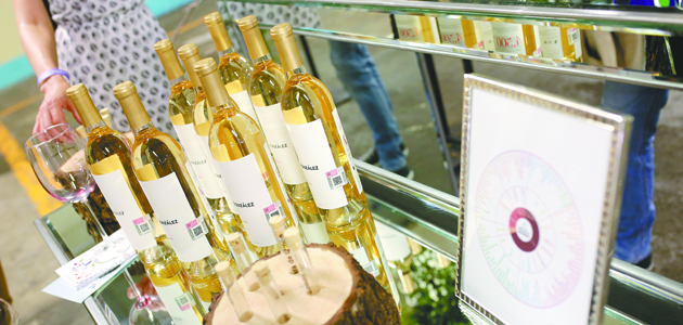 Vendimia Rivero Gonzalez 2017 (13)