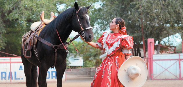 CENTRALES YOLANDA VIC