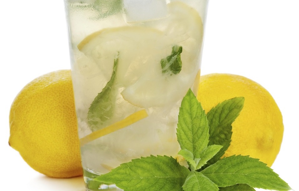 Hojas de Stevia