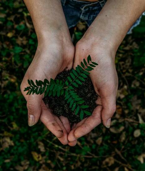 Con pequeños cambios en casa, seguro ayudarás a la Tierra (Foto: Unsplash)