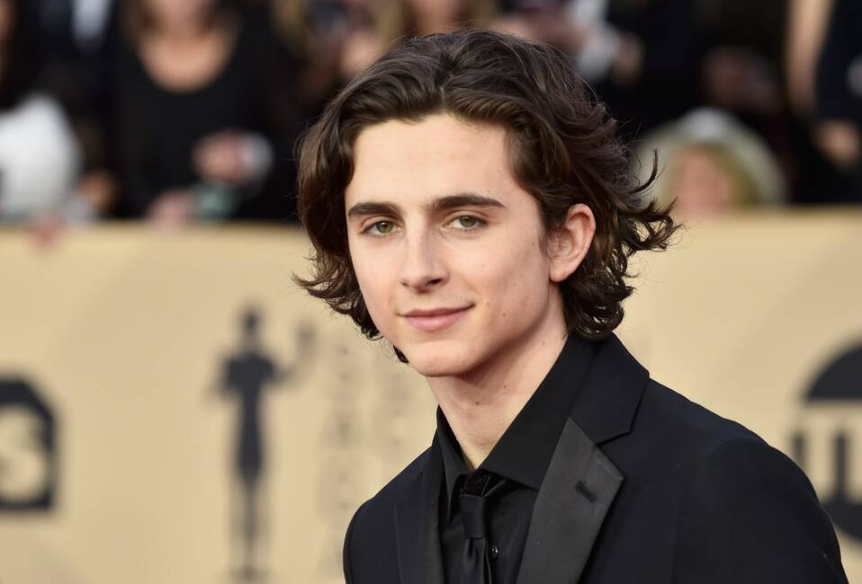 Timothée Chalamet está soltero y disponible (Foto: Instagram)