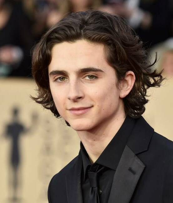 Timothée Chalamet está soltero y disponible (Foto: Instagram)