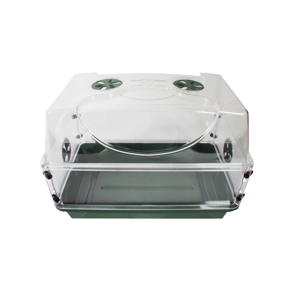 Earlygrow system