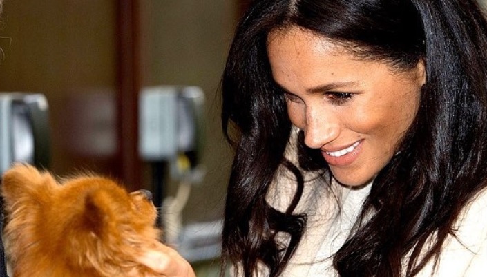 Meghan Markle ha ayudado a animalitos en secreto durante la pandemia (Foto: Instagram @sussexroyal)