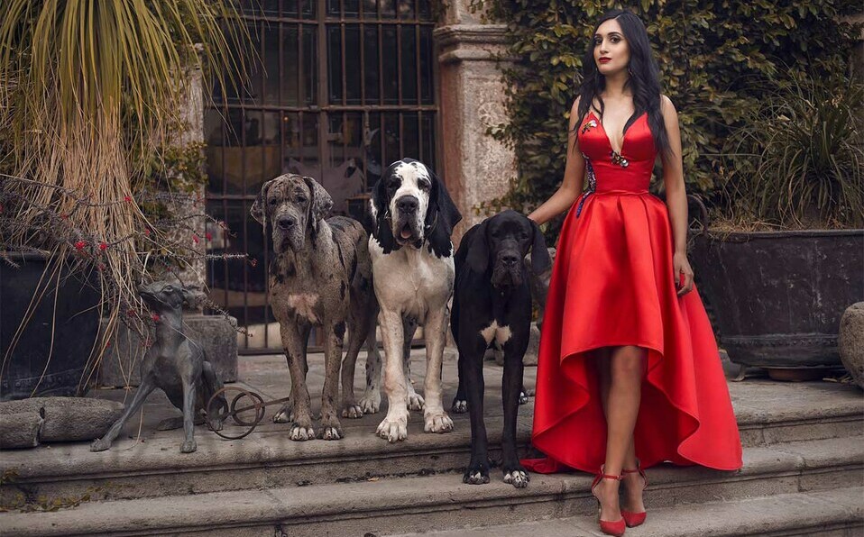 Una apasionada de los animales, conoce a Artemis, Minos y Aries, sus Grandes Daneses.