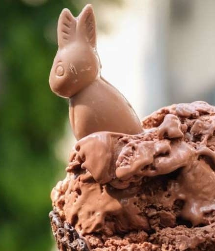 Helado de conejito: Cómo hacerlo en casa (Foto: Facebook @ice cream nation)