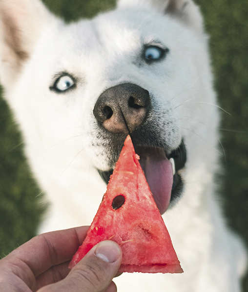 Fotografía de Marek Szturc / Unsplash