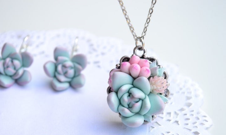 Conjunto de suculentas