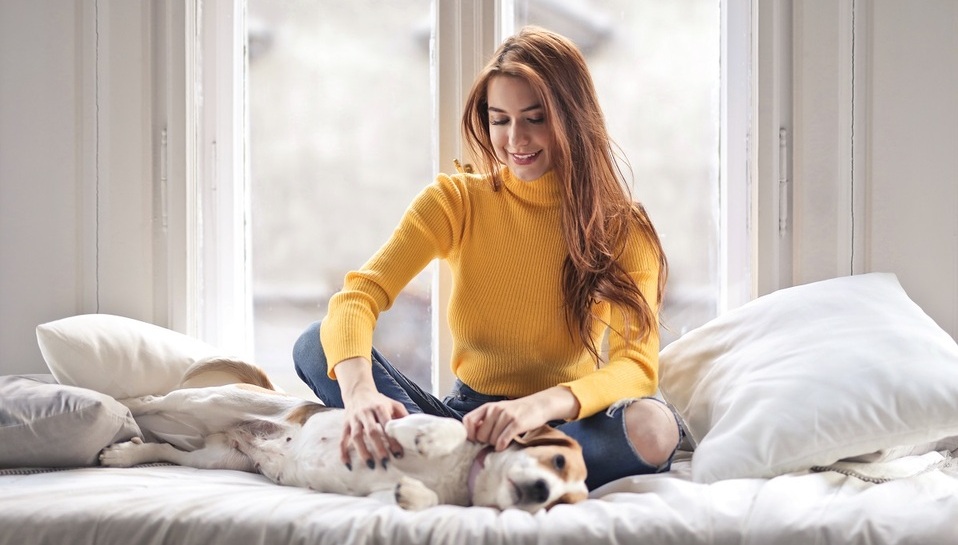 Día del Perro: Las mujeres prefieren una mascota ¡que un novio! (Foto: Pexels)