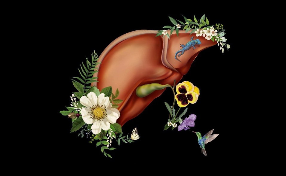 Hepatitis: Qué es, síntomas y tratamiento (Foto: Instagram @saraillamas)