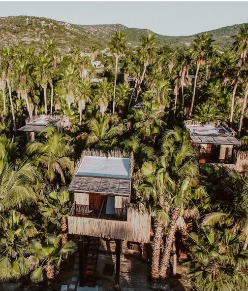 Tree Houses, un hotel en Los Cabos