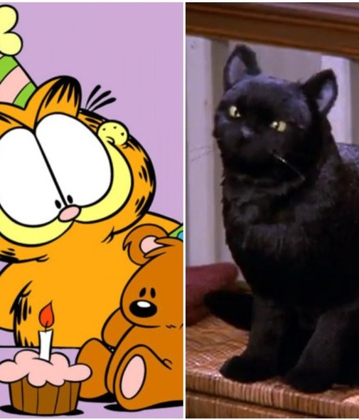 Día del gato: Los michis más famosos del cine y la televisión (Foto: Instagram)