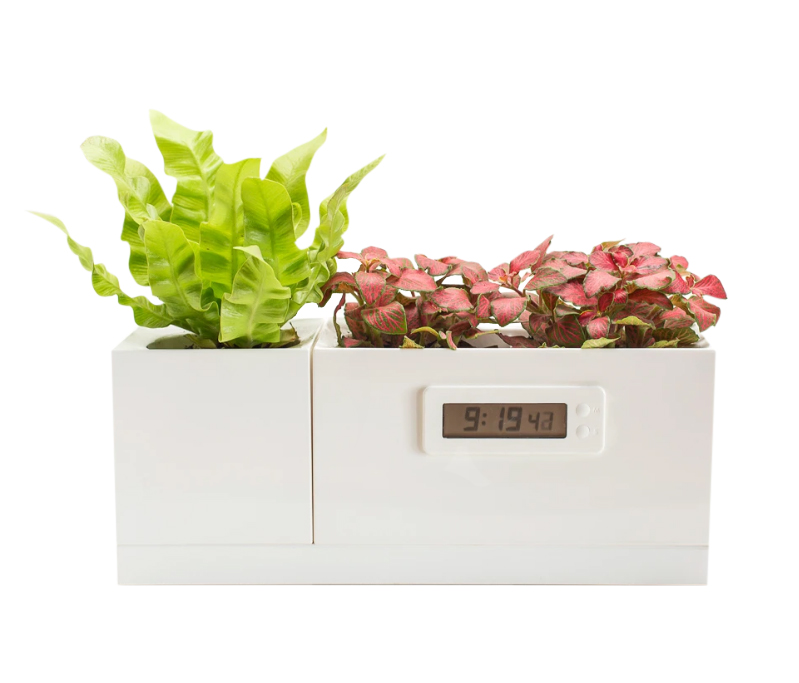 Smartplanter, 1,344 MXN