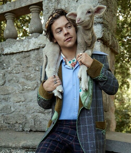 Harry Styles