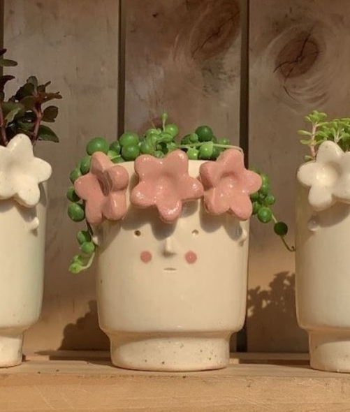 Macetas de cerámica para las plantas de tu hogar