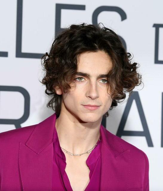 Timothée Chalamet, talento joven en pantalla grande.