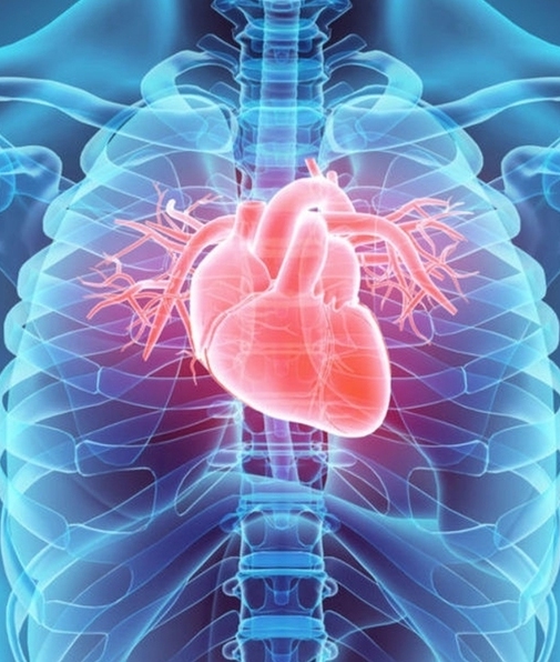Señales de un ataque al corazón o infarto que nunca debes ignorar (Foto: Milenio)