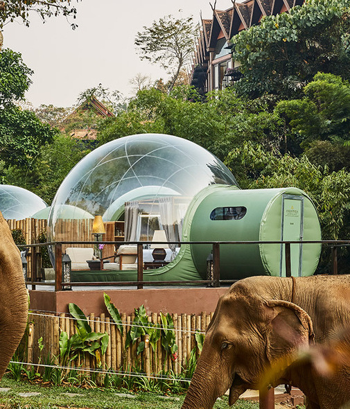 Jungle Bubbles es la nueva e increíble forma de hospedarte entre la naturaleza.