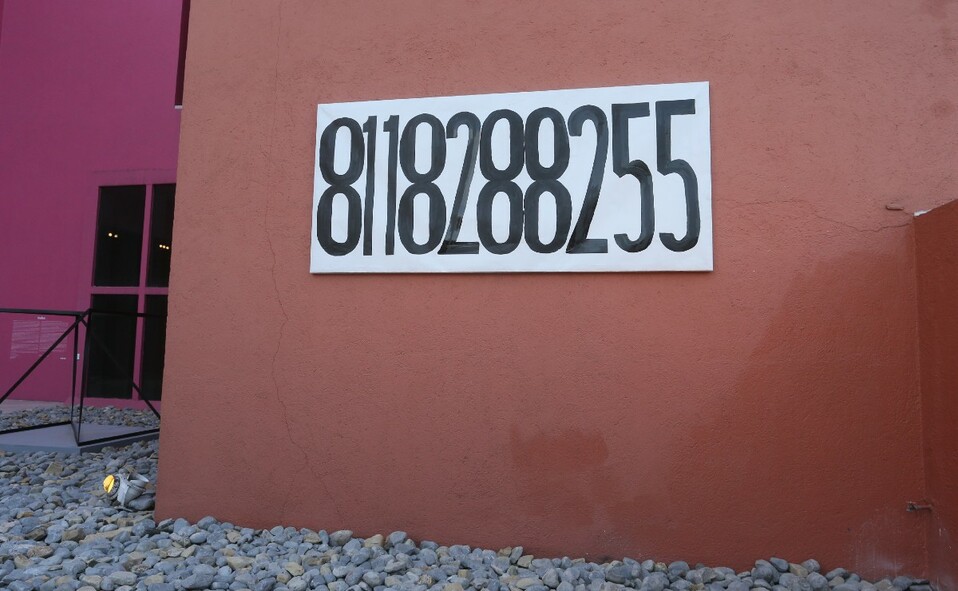 Obra The Artists Second Phone 2020 de Rayan Gander | Foto: Omar Valdez