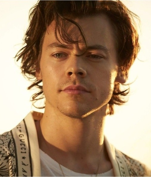 Golden Harry Styles: Camille Rowe, la inspiración de sus canciones