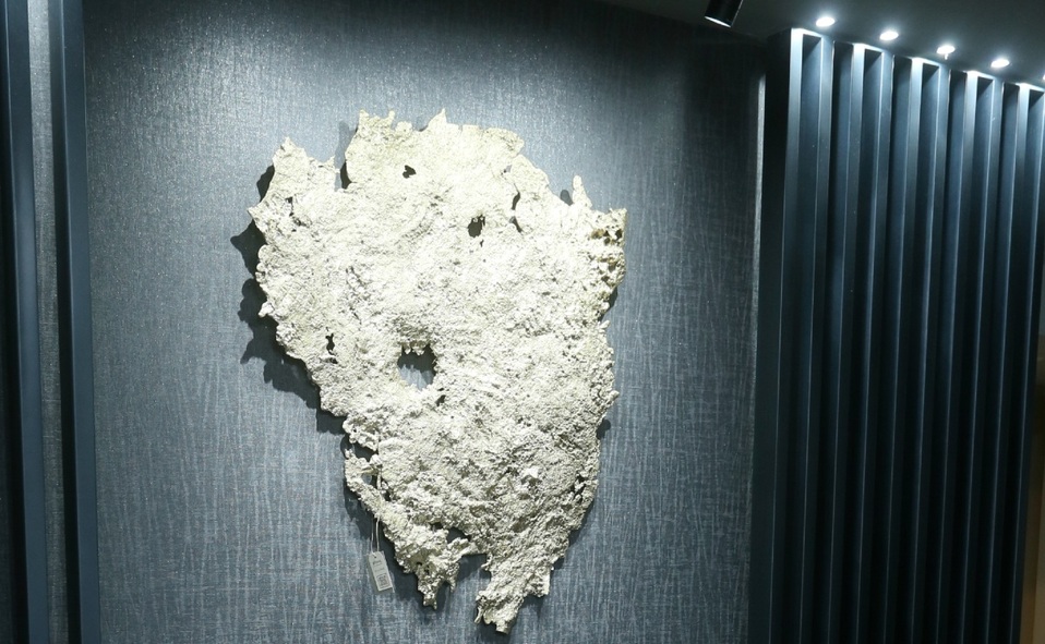 Obras de arte destacaron en la colección / Omar Valdez