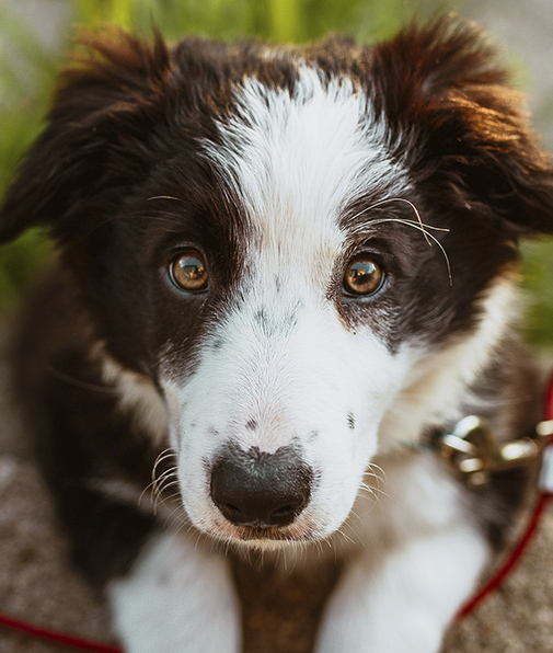 Fotografía de Josh Hild / Unsplash