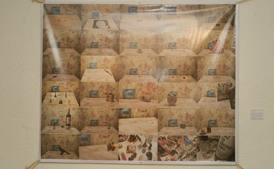 Obra Auteretratro de la Paz al Caos de Marcela Ríos. FOTO: OMAR VALDEZ