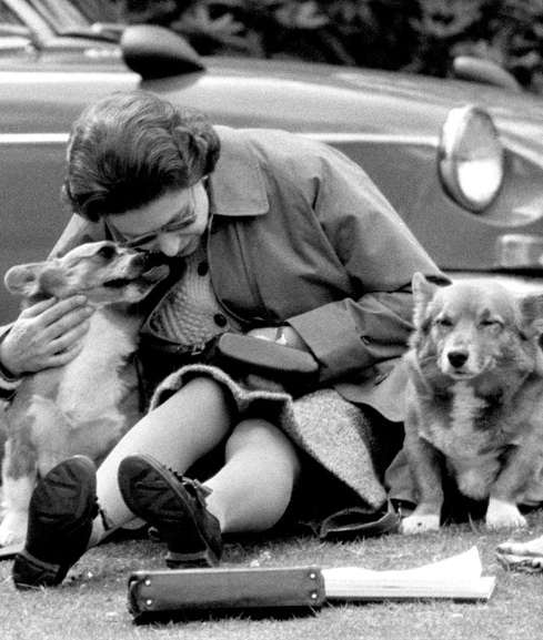 Reina Isabel sufre la pérdida de su penúltimo corgi, Vulcan (Foto: Instagram)