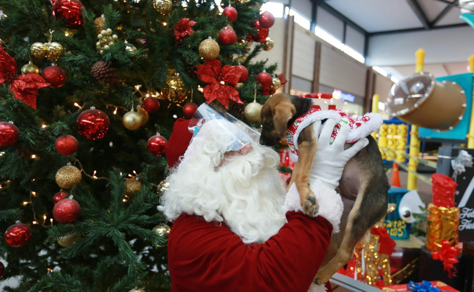 Patio Toluca inauguró la Navidad con su encendido del árbol