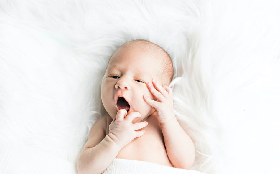 Estos son los famosos que han recibido a sus bebés este 2020 / Foto: Cortesía