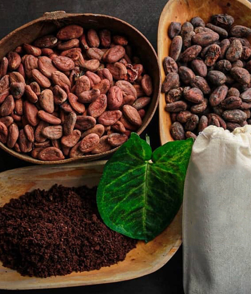 El cacao es considerado un superalimento. Foto: Don Cacaoc
