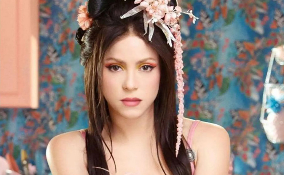 Shakira: La FUNDACIÓN PIES DESCALZOS impulsa la educación pública, la nutrición, da atención psicosocial y promueve el desarrollo comunitario.