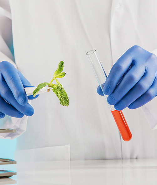 La biotecnología como disciplina surgió a principios del siglo XX en la industria alimentaria. Foto: Archivo