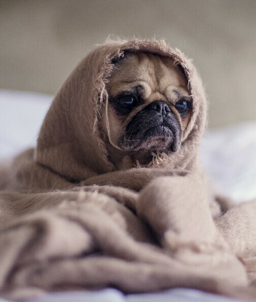 Tristeza y depresión, cuáles son las diferencias en este Blue Friday (Foto: Unsplash)