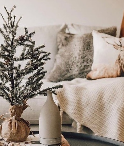Decoración de invierno para casa