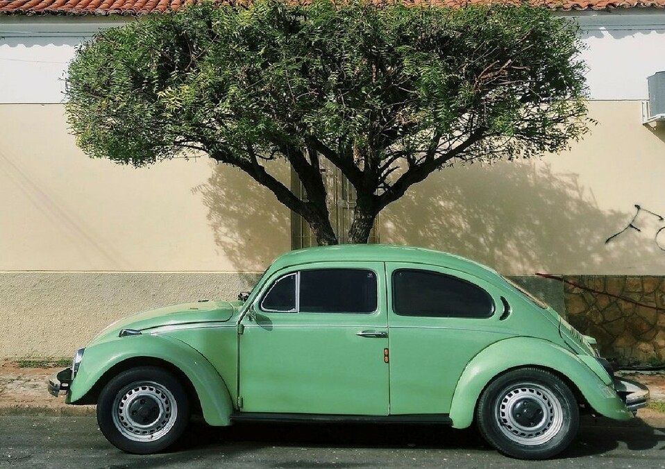 Anota cuánto usas el coche para calcular tu huella de carbono y trata de compensarla cuando sea posible.