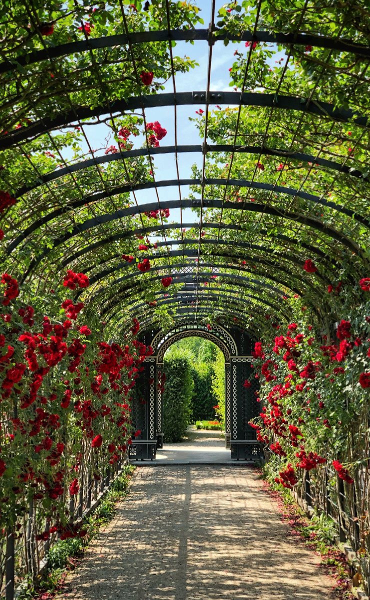 Jardines en la ciudad