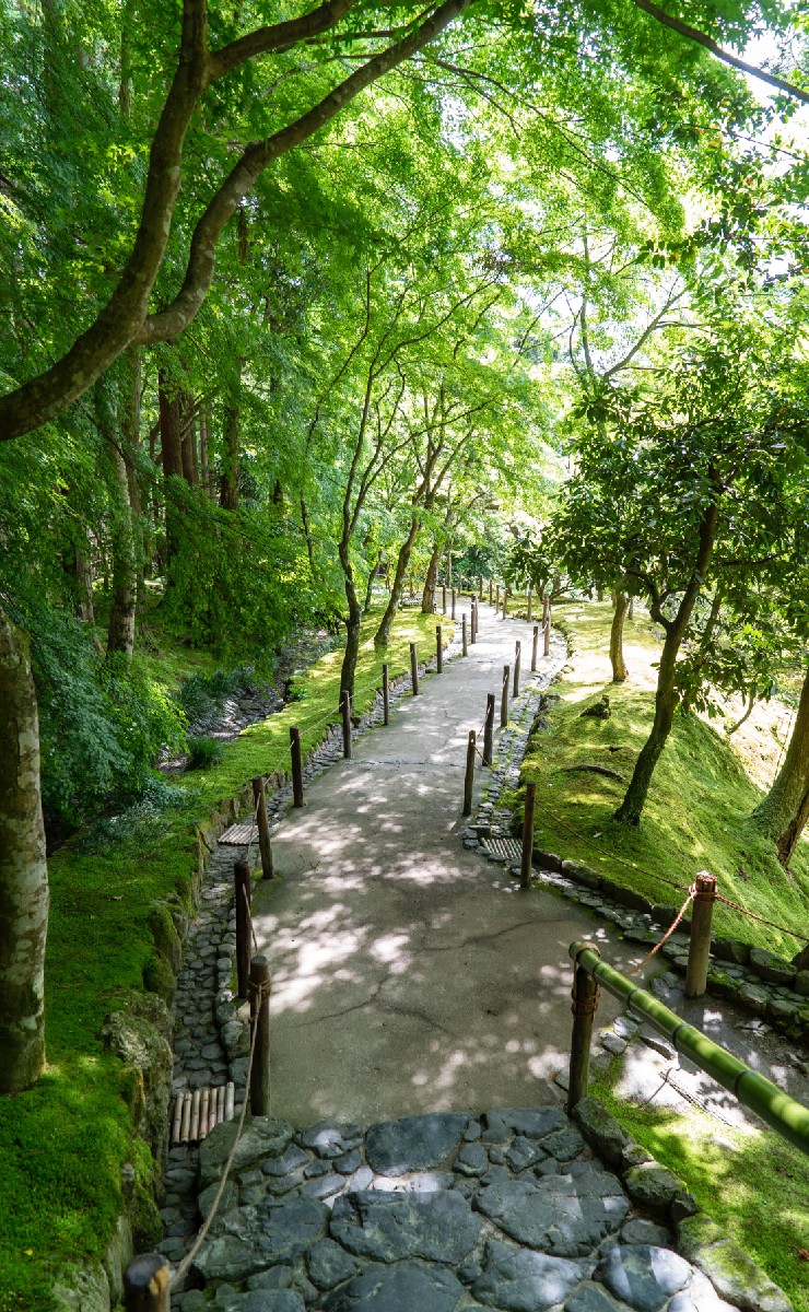 Jardines en la ciudad