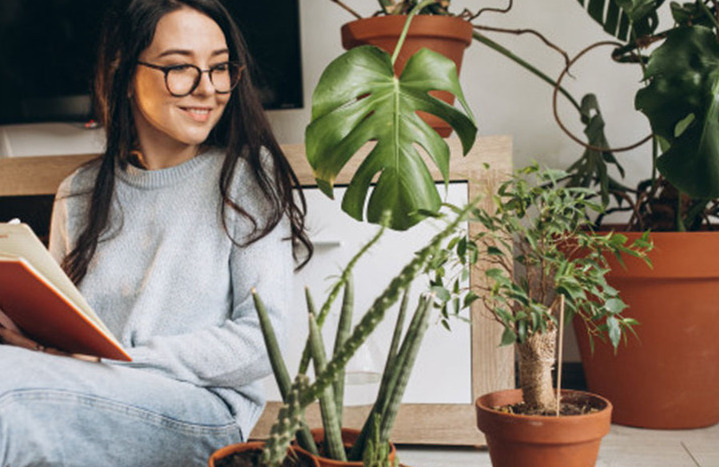 Si eres la señora de las plantas, estas ideas te encantarán/Foto: Cortesía