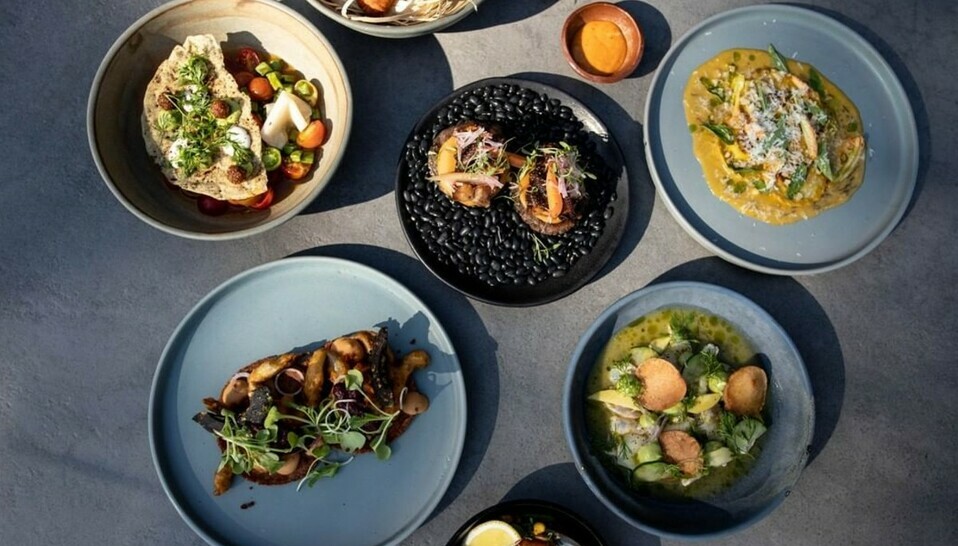 La oferta culinaria que se ofrece son sabores locales, frescos y sustentables con toques contemporáneos (Foto: IG @thompsonzihuatanejo).