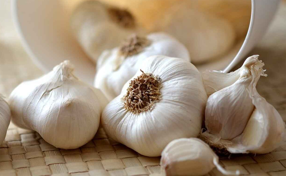 ajo