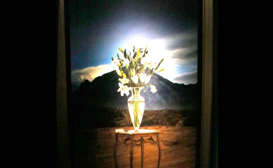 Flores del desierto, obra de Mauricio Gattás / Fotos: Antonio Mireles