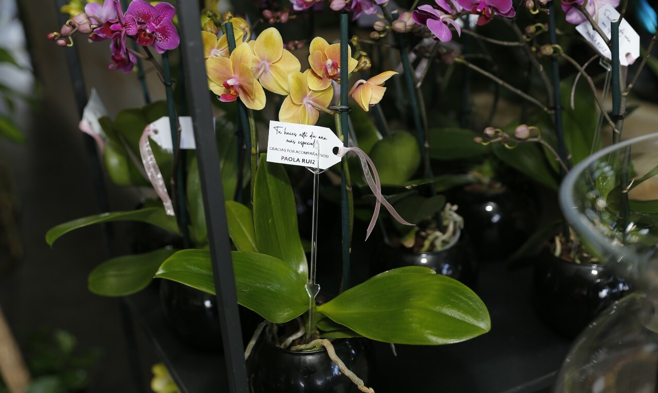 Hermosas flores lucieron en el brunch / Foto: Daniel Saldívar