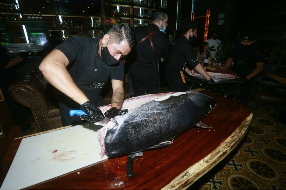 El atún fue presentado a todos los asistentes para comenzar con la elaboración de los platillos. FOTO: OMAR VALDEZ