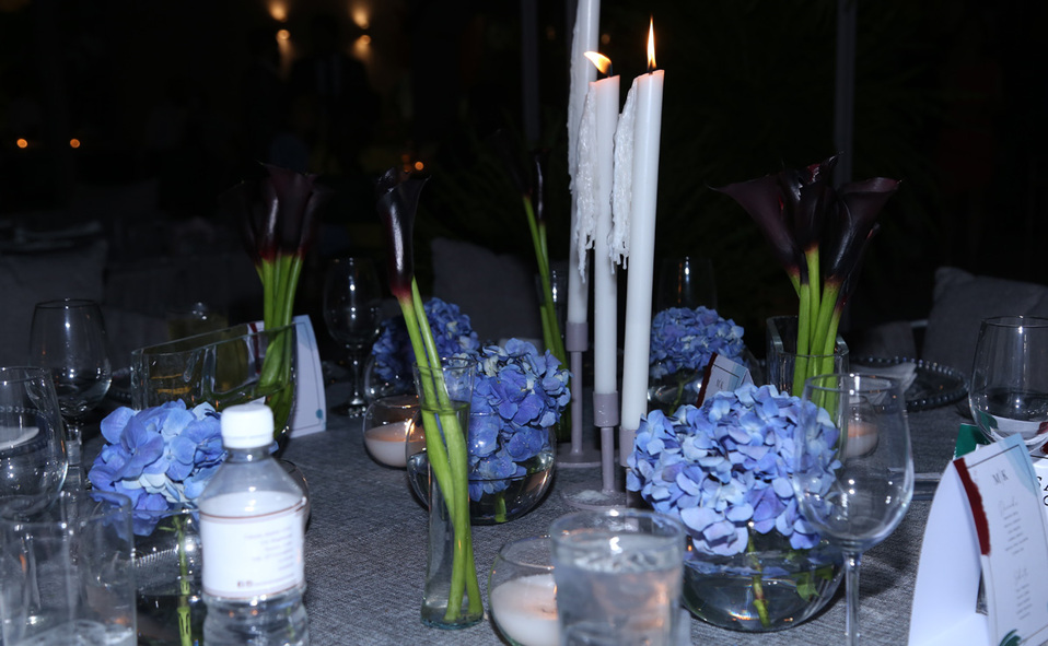 Hermosas flores decoraron el jardín