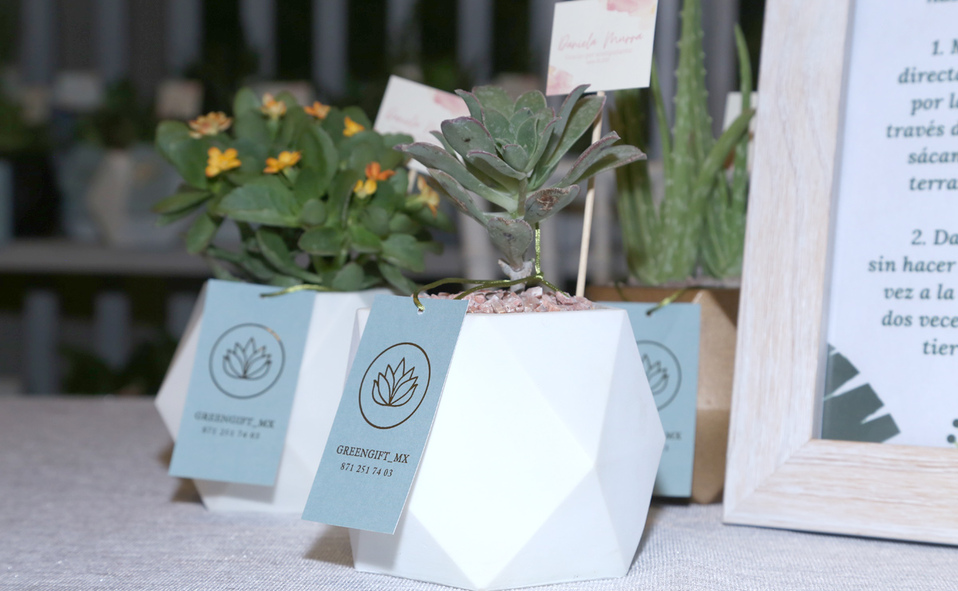 Se obsequiaron macetitas de Greengift