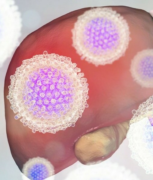 Para qué sirve la vacuna para la Hepatitis B (Foto: Instagram)
