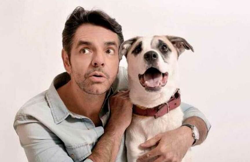 Eugenio Derbez pide justicia por perro asesinado en Tlanepantla, Estado de México