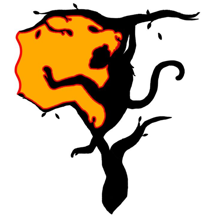 test visual