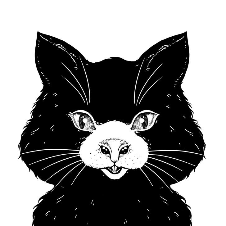 test visual